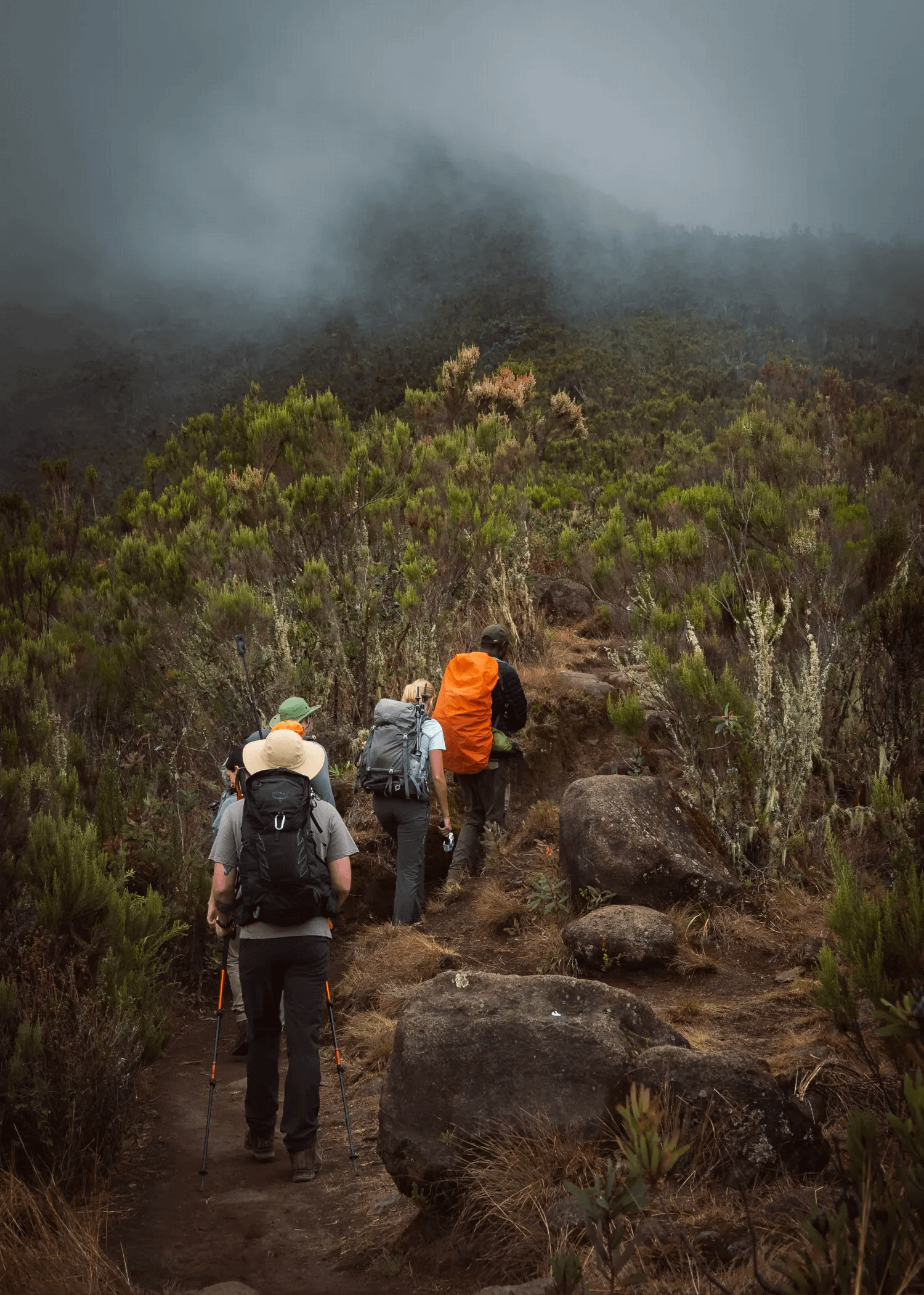 Climbing Kilimajaro through lemosho route