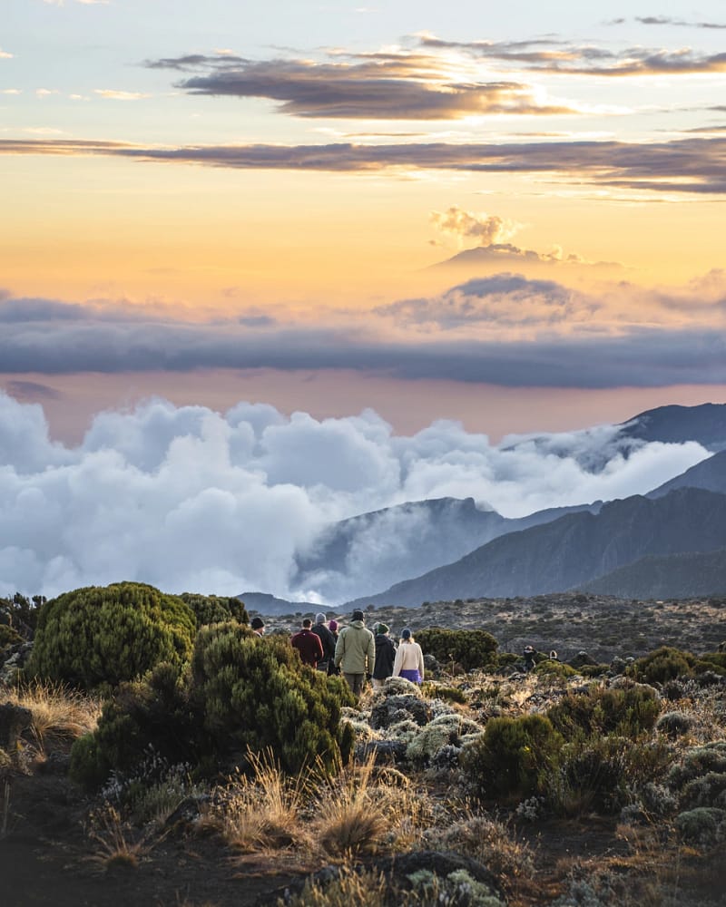 Climbing Kilimanjaro through the Northern Circuit