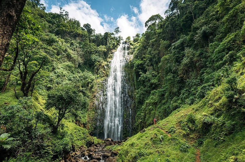 Visit the Materuni Waterfalls on our day tour